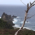 IMG_0825.jpg