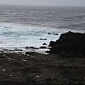IMG_0608.jpg