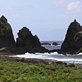 IMG_0833.jpg