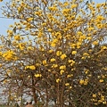 IMG_8315.jpg