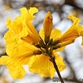 IMG_8317.jpg