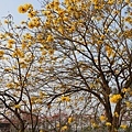 IMG_8314.jpg
