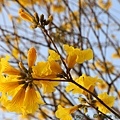 IMG_8316.jpg