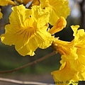IMG_8328.jpg
