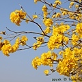 IMG_8326.jpg