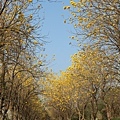 IMG_8324.jpg