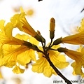 IMG_8318.jpg