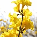 IMG_8327.jpg