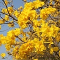 IMG_8329.jpg