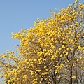 IMG_8335.jpg