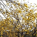IMG_8331.jpg