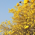 IMG_8334.jpg