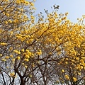 IMG_8338.jpg