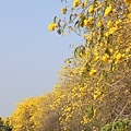 IMG_8340.jpg