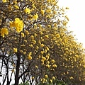 IMG_8337.jpg