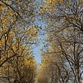 IMG_8342.jpg
