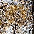 IMG_8345.jpg
