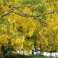 IMG_2764.jpg