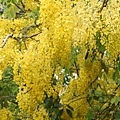 IMG_2762.jpg