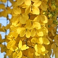 IMG_2049.jpg