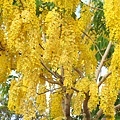 IMG_2043.jpg