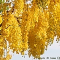 IMG_2052.jpg