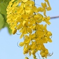 IMG_2057.jpg