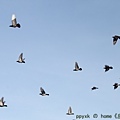IMG_3600.jpg