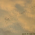 IMG_7924.jpg