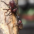 IMG_5420.jpg