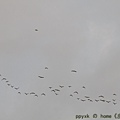 IMG_5735.jpg