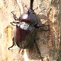 IMG_5423.jpg