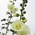 IMG_9693.jpg