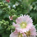 IMG_9706.jpg