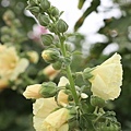 IMG_9710.jpg