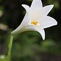 IMG_1680.jpg