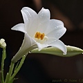 IMG_1277.jpg