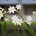 IMG_1695.jpg
