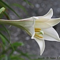IMG_7314.jpg