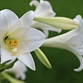 IMG_1753.jpg