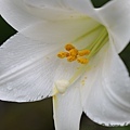 IMG_1757.jpg