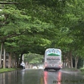 綠色隧道.jpg