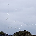 IMG_1673.jpg