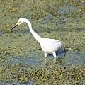 IMG_7408.jpg
