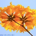 IMG_4454.jpg