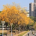 IMG_4461.jpg