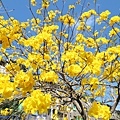 IMG_9385.jpg