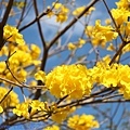 IMG_9386.jpg