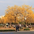 IMG_4637.jpg