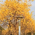 IMG_4640.jpg
